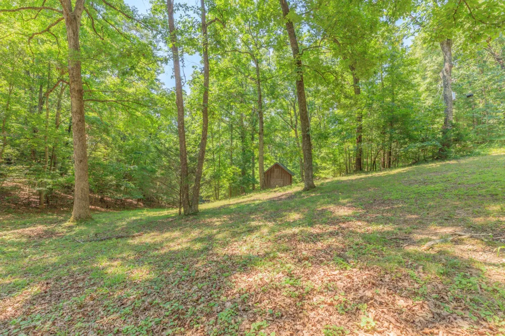 1558 Powder Springs Circle Flintstone, GA 30725