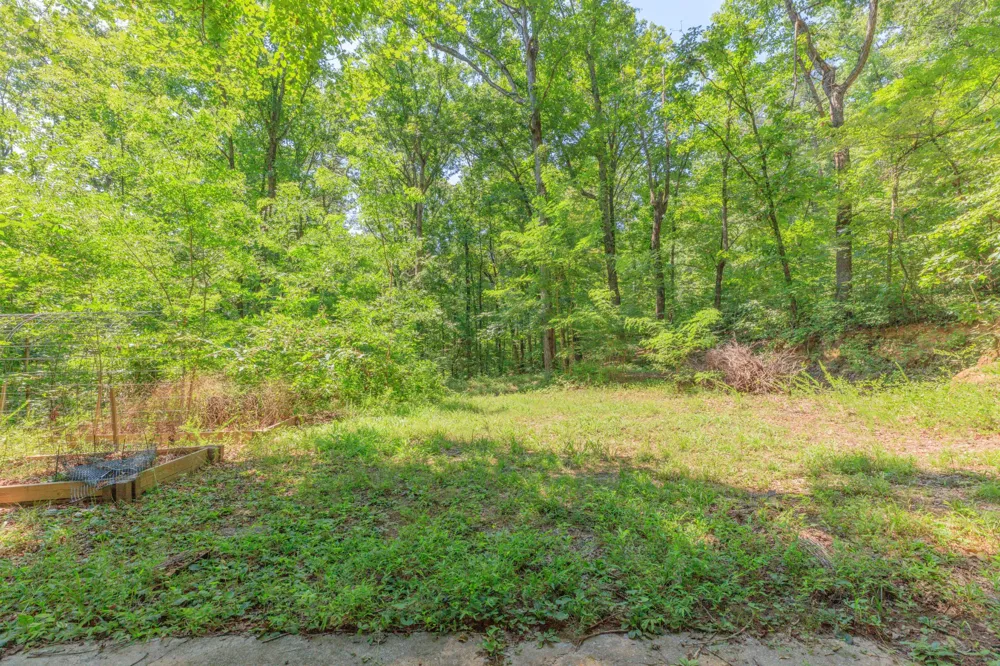 1558 Powder Springs Circle Flintstone, GA 30725