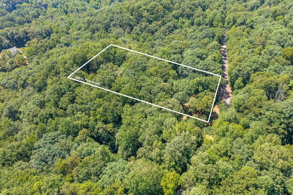 1558 Powder Springs Circle Flintstone, GA 30725