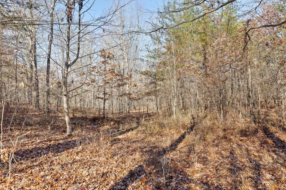 337 Bluff View Drive Dunlap, TN 37327