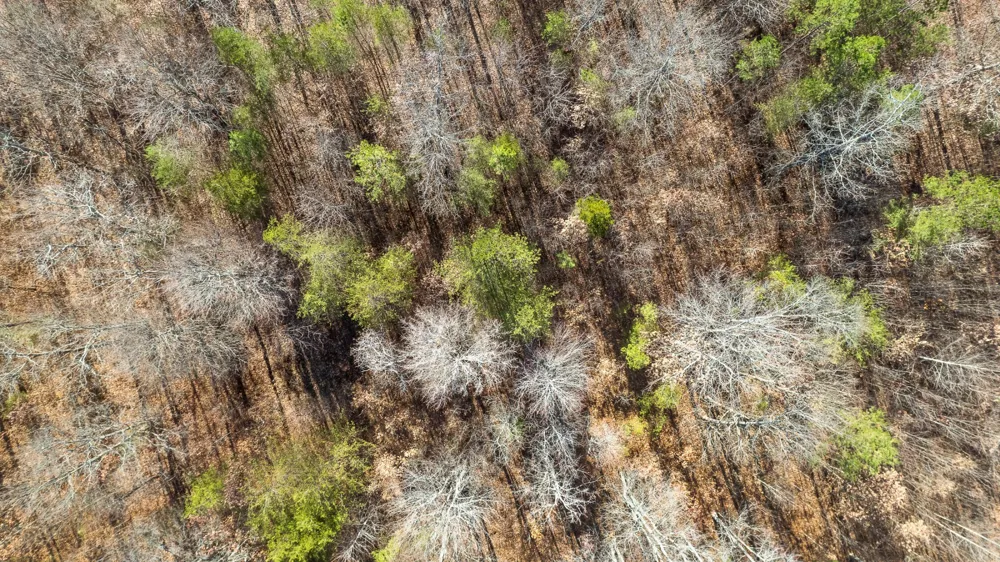 337 Bluff View Drive Dunlap, TN 37327