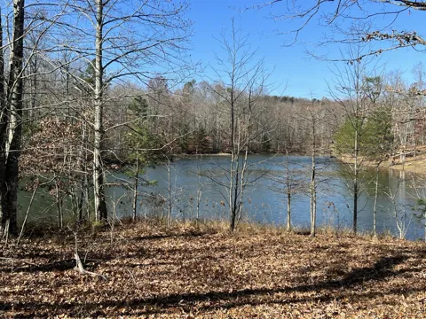 337 Bluff View Drive