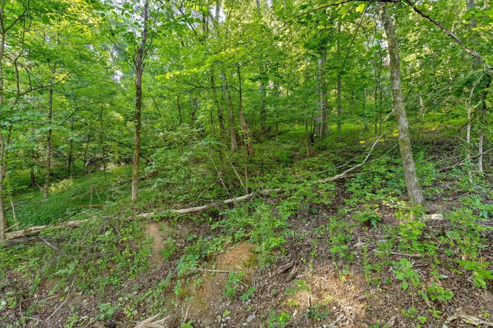 6833 Big Ridge Road Hixson, TN 37343