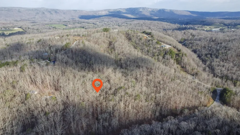 434 Hidden Oaks Road Rockwood, TN 37854