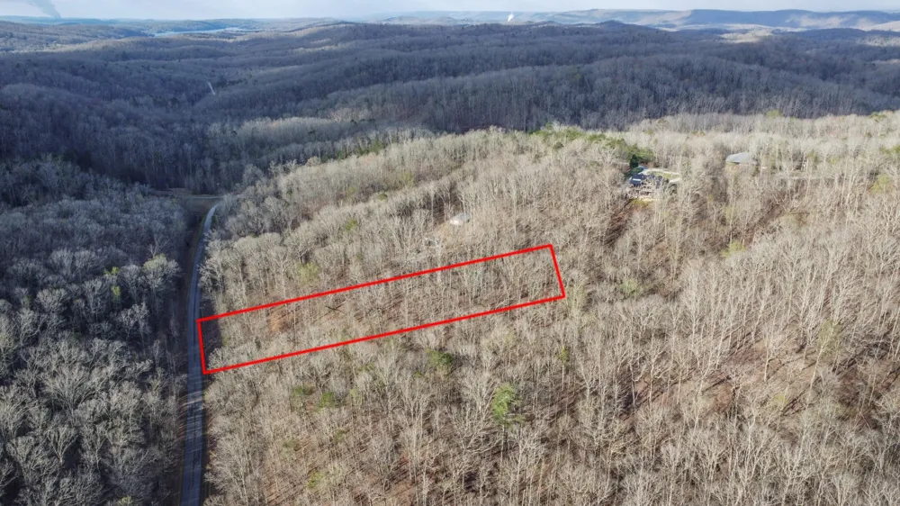 434 Hidden Oaks Road Rockwood, TN 37854