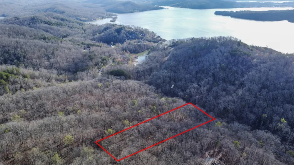 434 Hidden Oaks Road Rockwood, TN 37854
