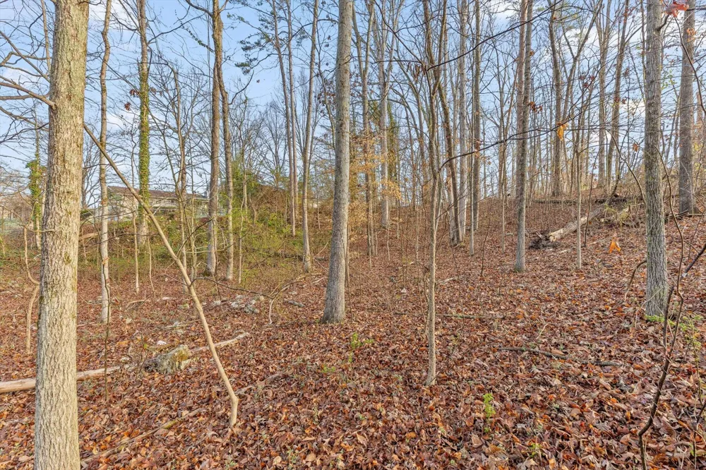 8961 Highway 58 Harrison, TN 37341