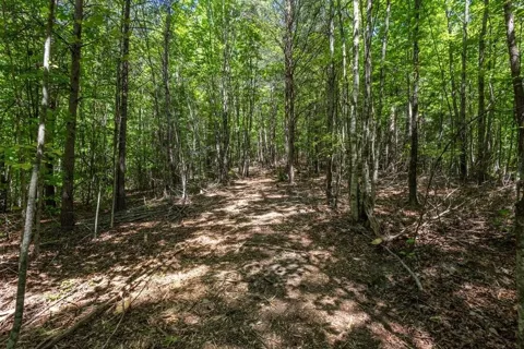 20 Pack Mountain Road
