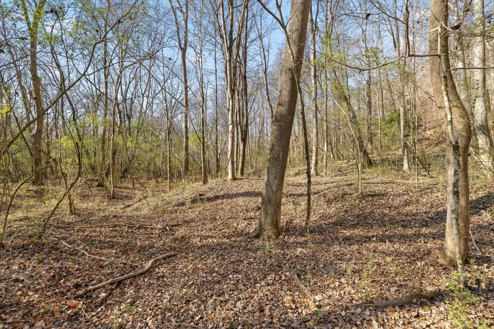 0 Jones Creek Lane Hixson, TN 37343
