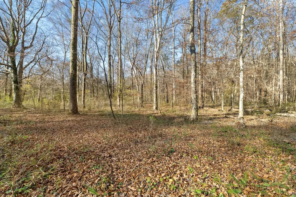 0 Jones Creek Lane Hixson, TN 37343