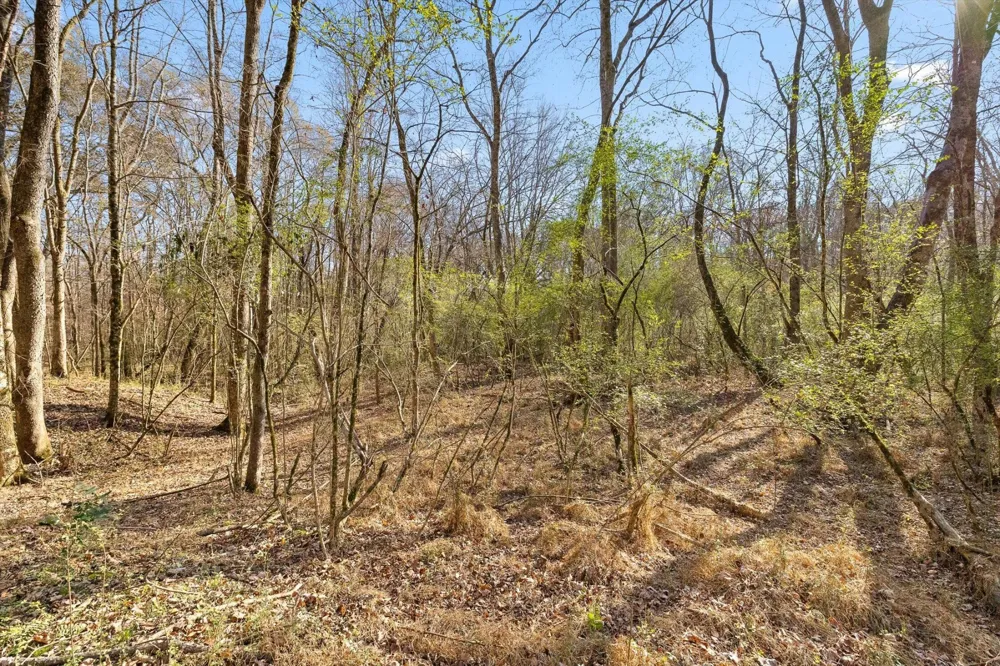 0 Jones Creek Lane Hixson, TN 37343