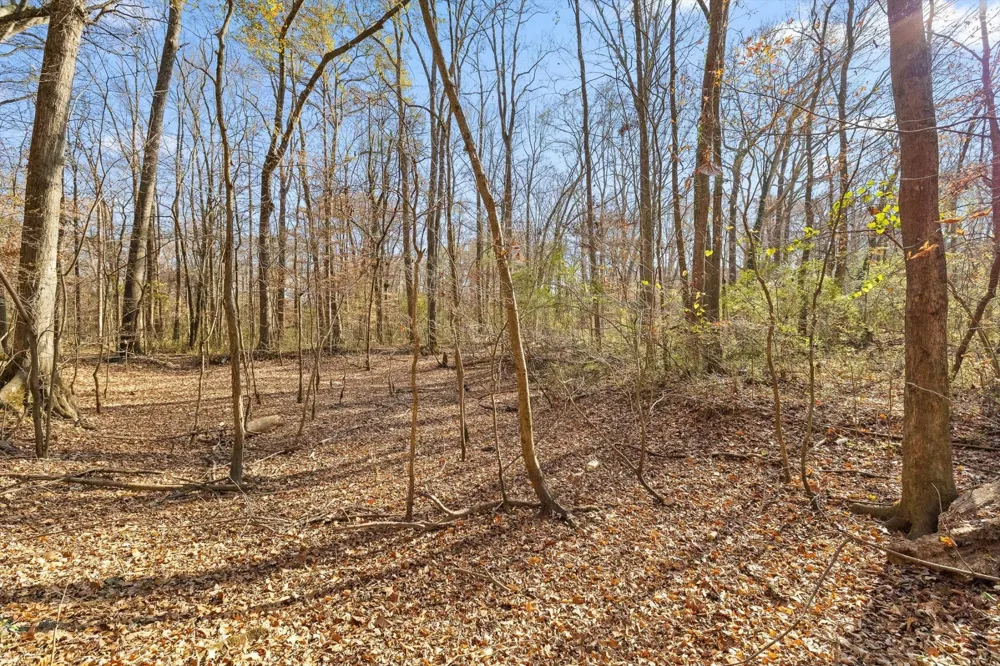 0 Jones Creek Lane Hixson, TN 37343