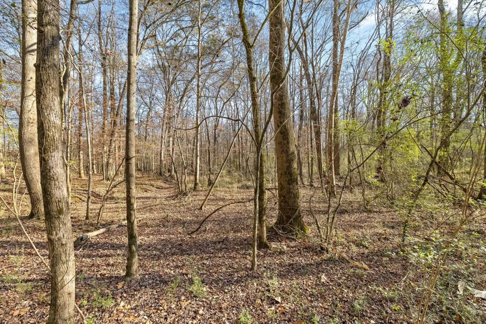0 Jones Creek Lane Hixson, TN 37343