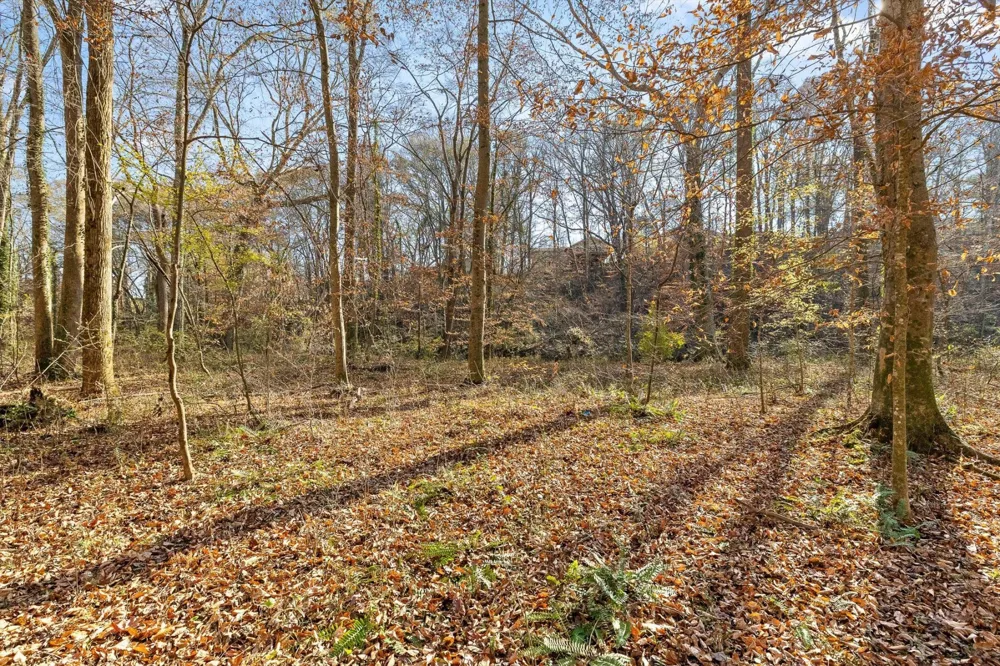 0 Jones Creek Lane Hixson, TN 37343