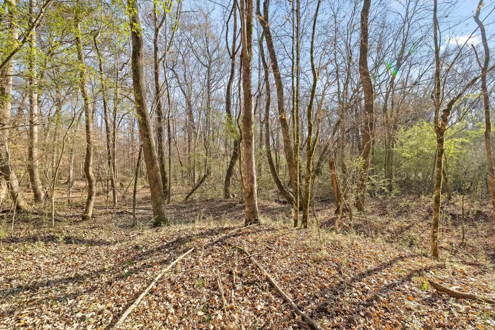0 Jones Creek Lane Hixson, TN 37343