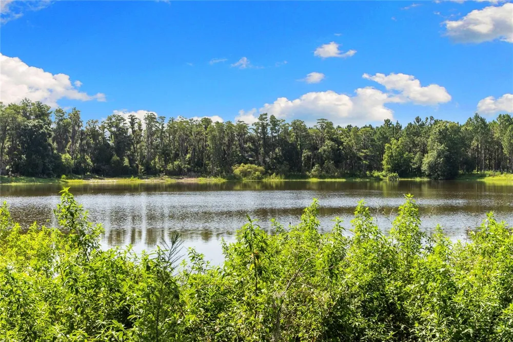 18150 BURRELL ROAD Odessa, FL 33556