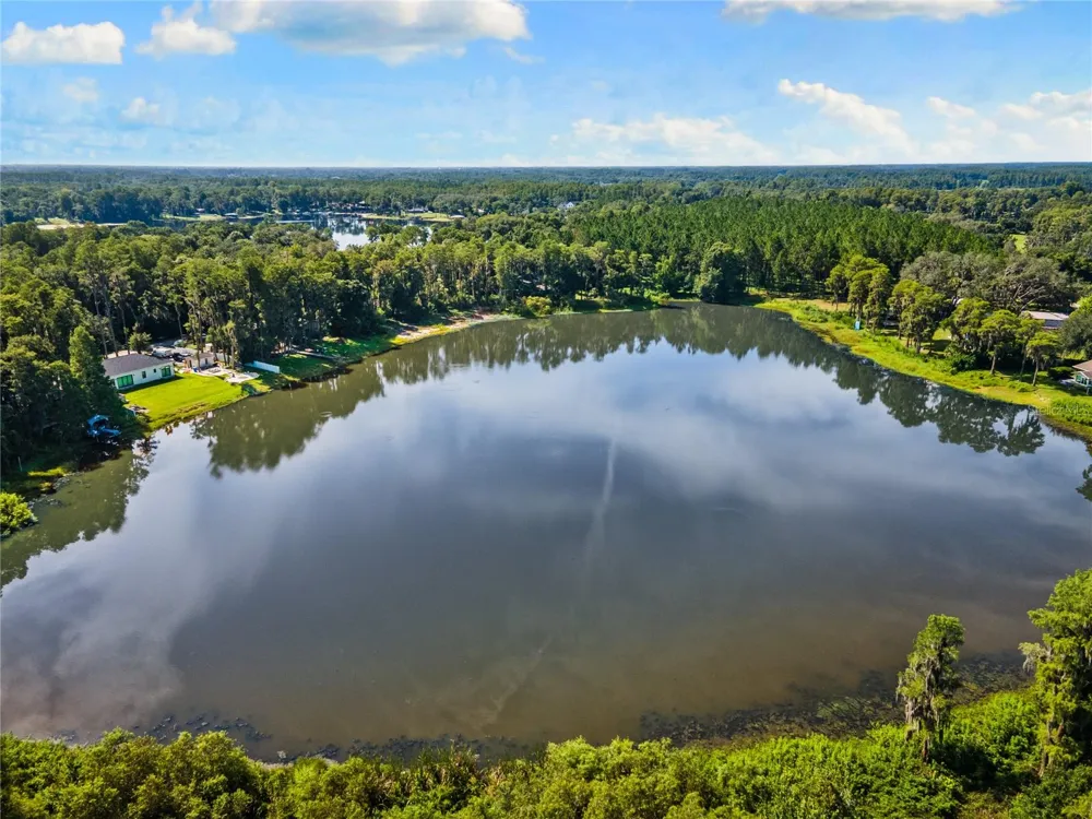 18150 BURRELL ROAD Odessa, FL 33556