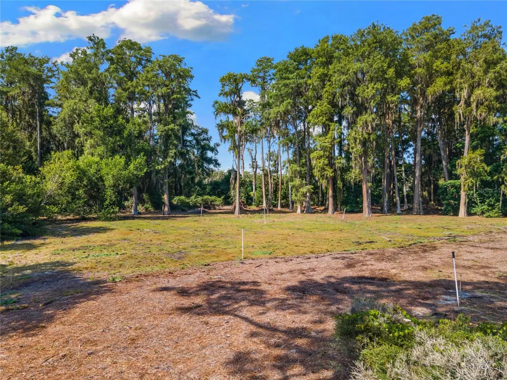 18150 BURRELL ROAD Odessa, FL 33556