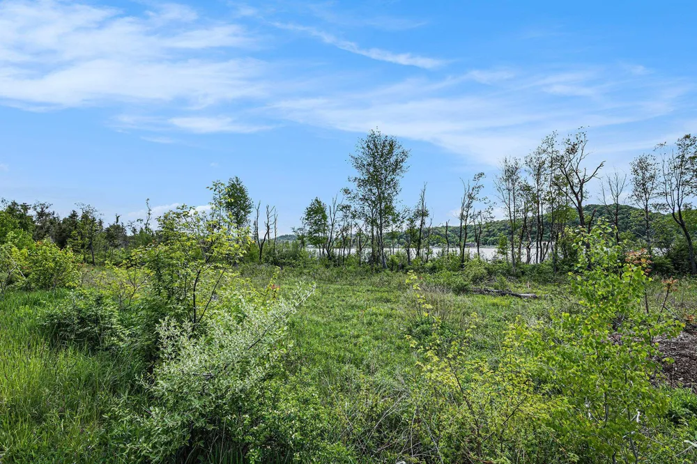 Lake Street Frankfort City, MI 49635