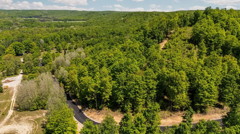 Retreats Way Clearwater Township, MI 49676