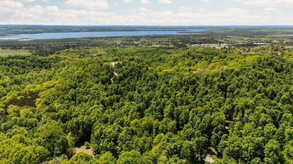 Retreats Way Clearwater Township, MI 49676