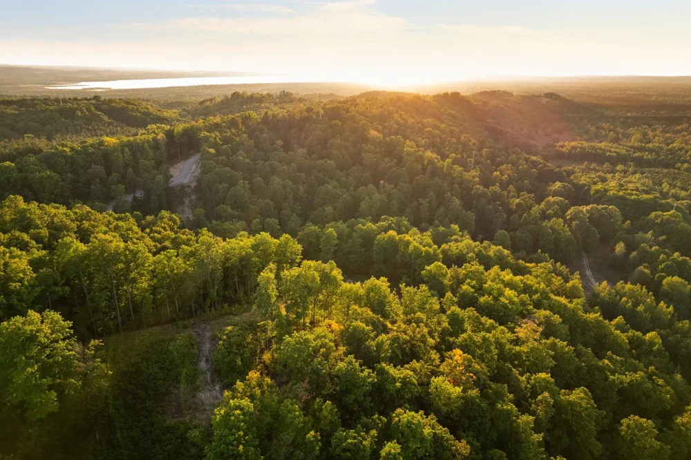 Retreats Way Clearwater Township, MI 49676