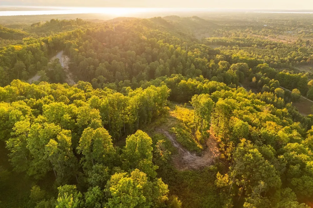 Retreats Way Clearwater Township, MI 49676