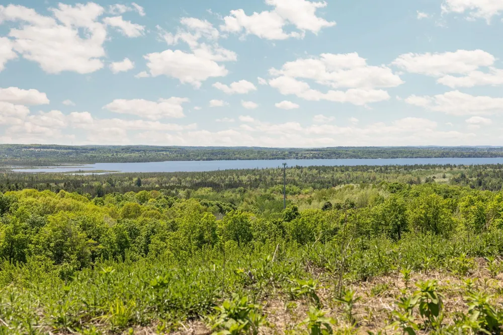 Retreats Way Clearwater Township, MI 49676
