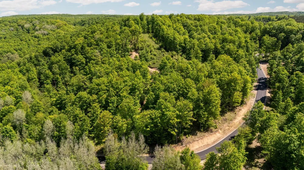 Retreats Way Clearwater Township, MI 49676