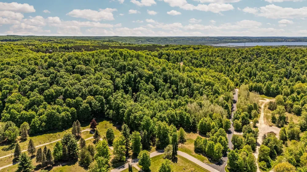 Retreats Way Clearwater Township, MI 49676