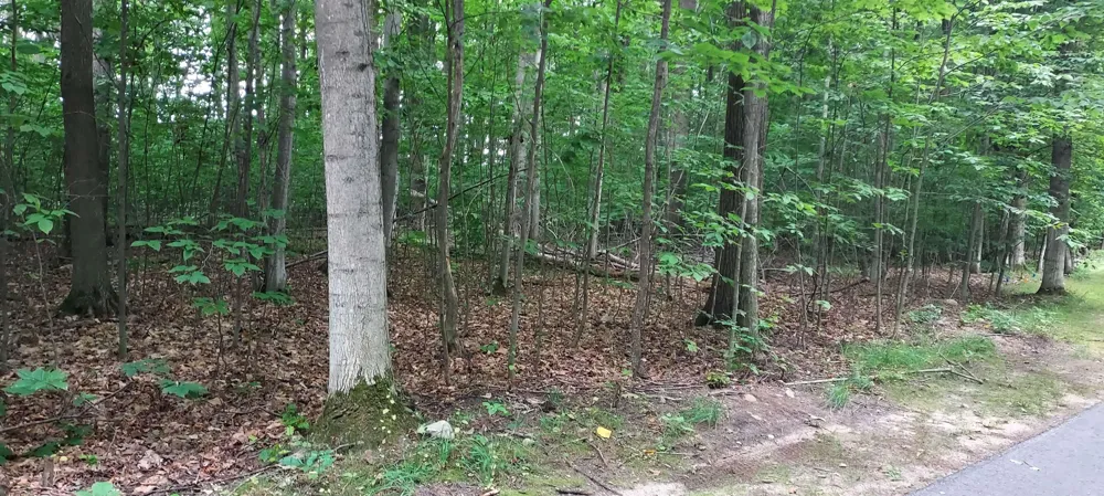 19 Beech Kearney Township, MI 49615