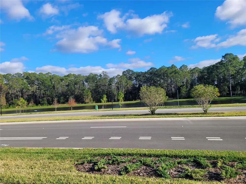 2763 REDDISH EGRET BEND Harmony, FL 34773