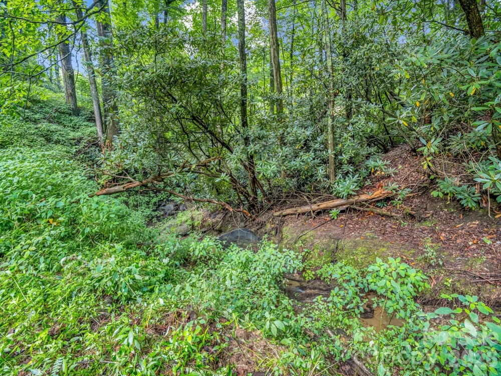 60 Owenby Cove Road Fairview, NC 28730