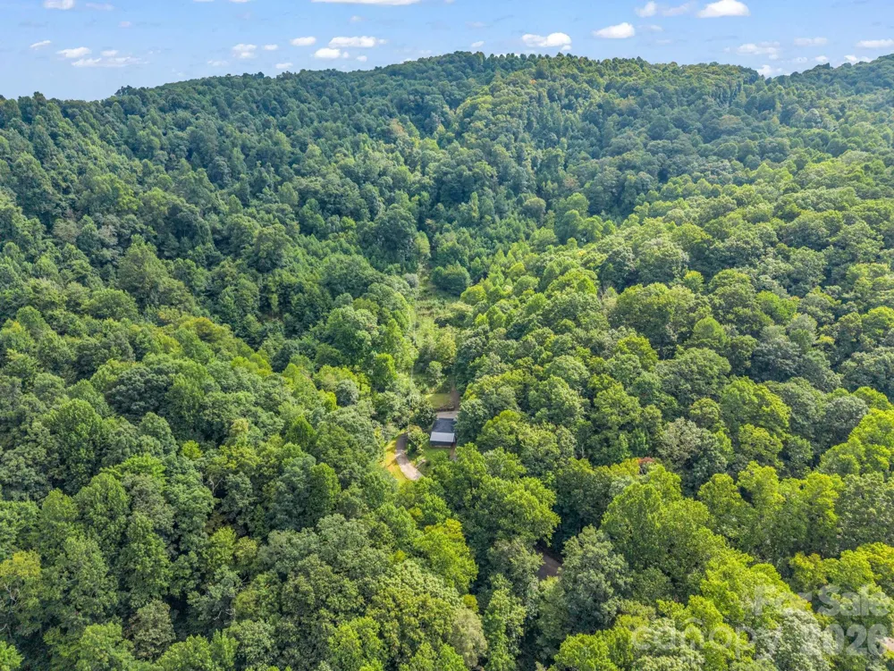 60 Owenby Cove Road Fairview, NC 28730