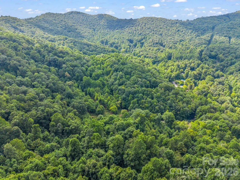 60 Owenby Cove Road Fairview, NC 28730