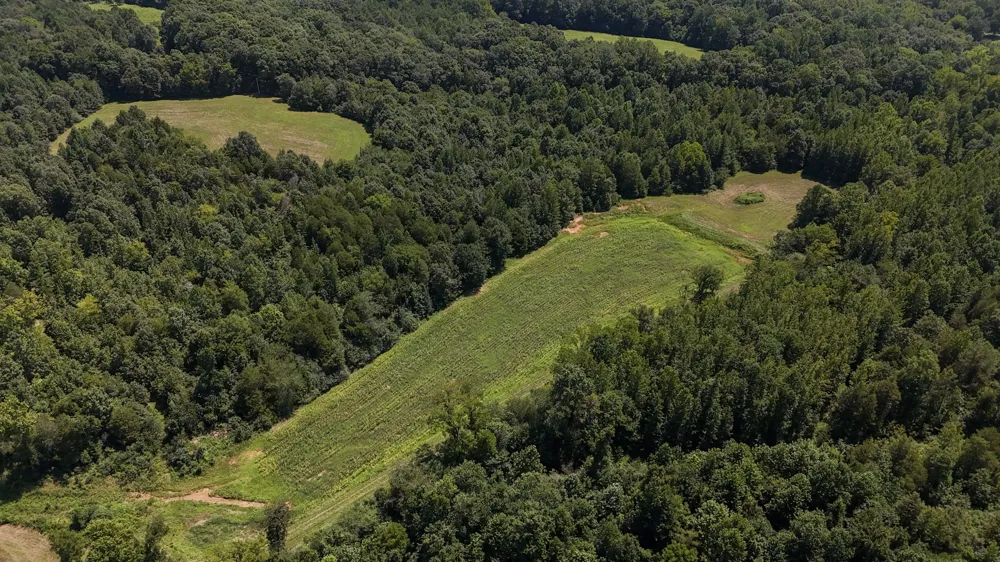 0 Hwy 69S Paris, TN 38242
