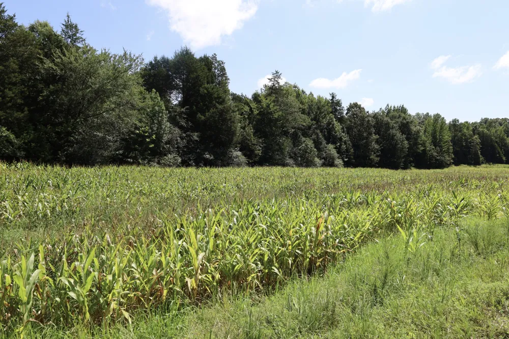 0 Hwy 69S Paris, TN 38242