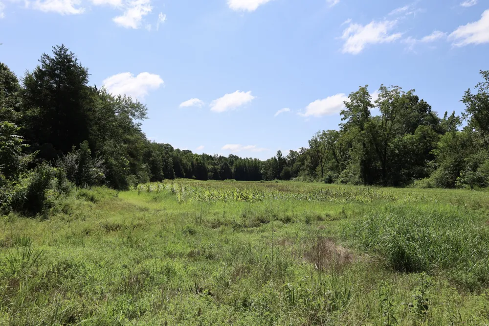 0 Hwy 69S Paris, TN 38242