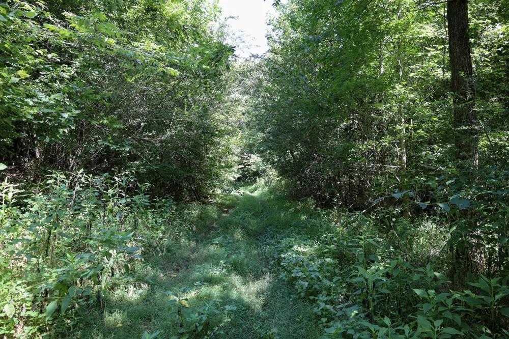 0 Hwy 69S Paris, TN 38242