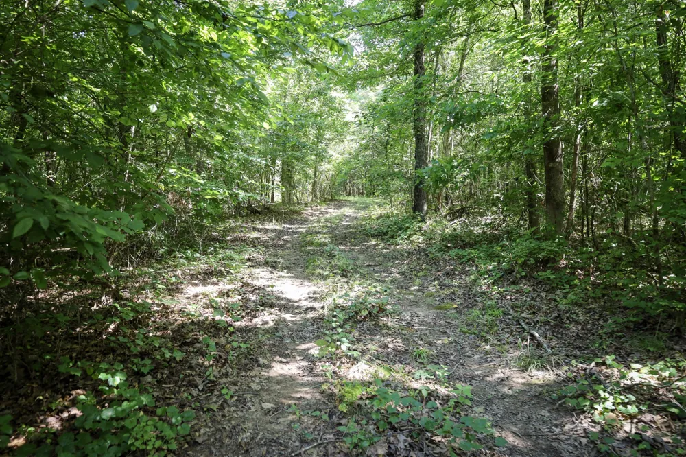 0 Hwy 69S Paris, TN 38242