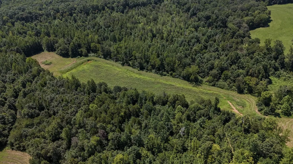 0 Hwy 69S Paris, TN 38242