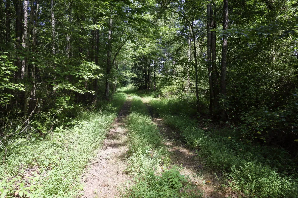 0 Hwy 69S Paris, TN 38242