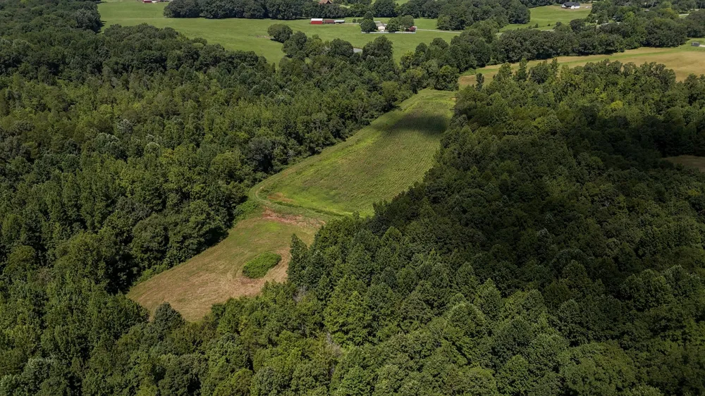 0 Hwy 69S Paris, TN 38242