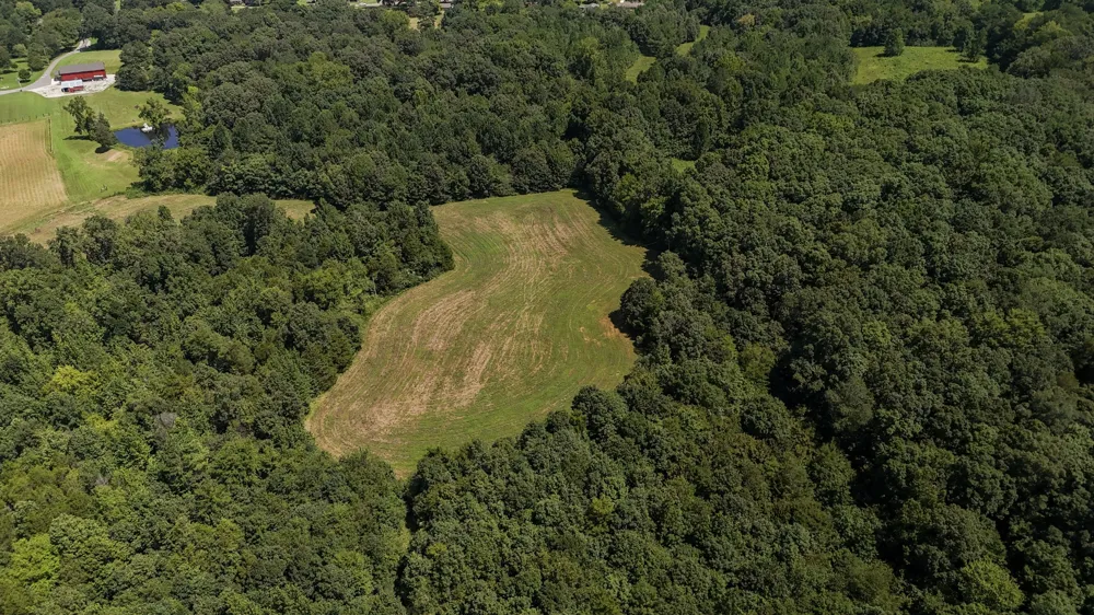 0 Hwy 69S Paris, TN 38242