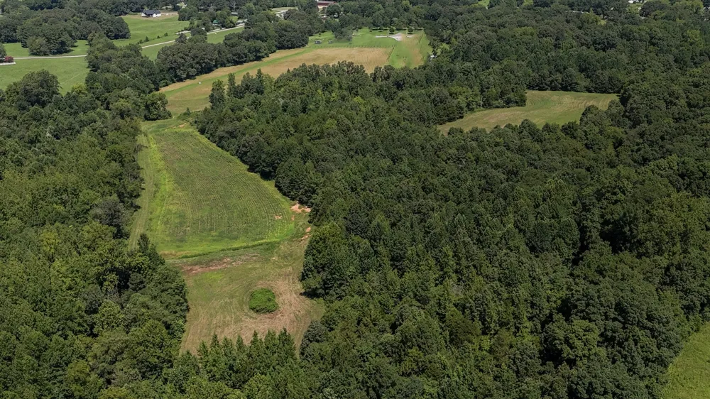 0 Hwy 69S Paris, TN 38242