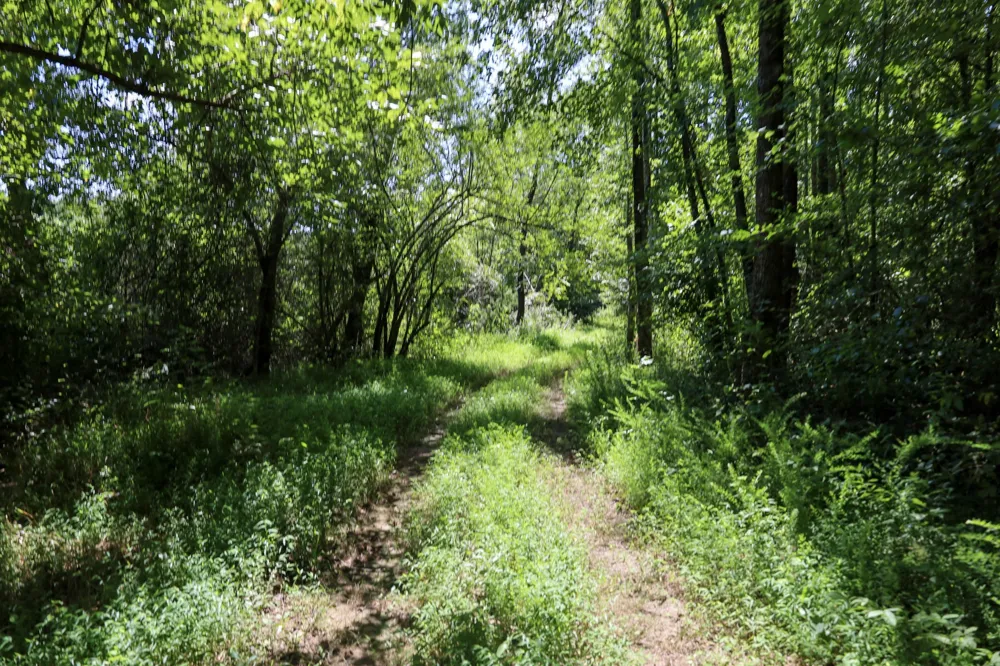 0 Hwy 69S Paris, TN 38242