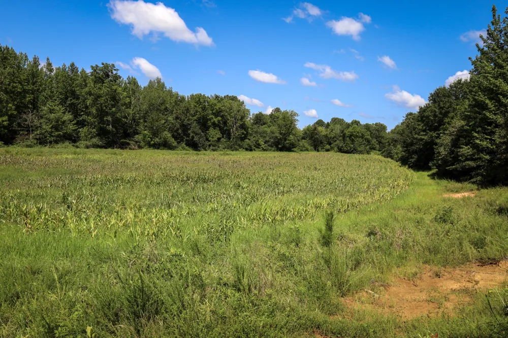 0 Hwy 69S Paris, TN 38242