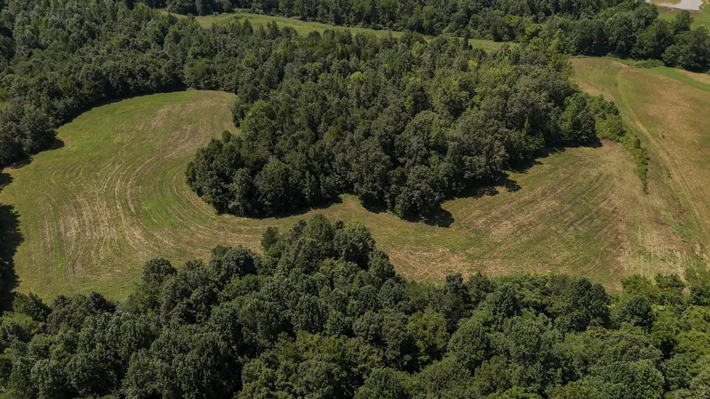 0 Hwy 69S Paris, TN 38242