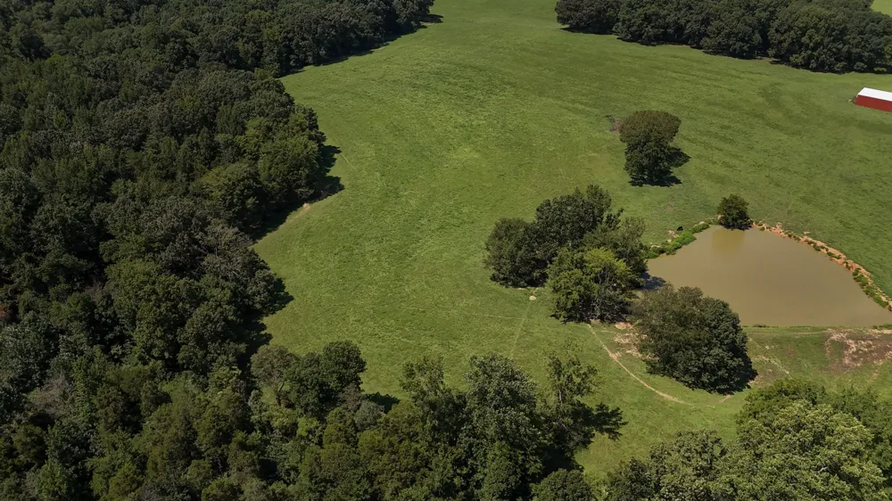 0 Hwy 69S Paris, TN 38242
