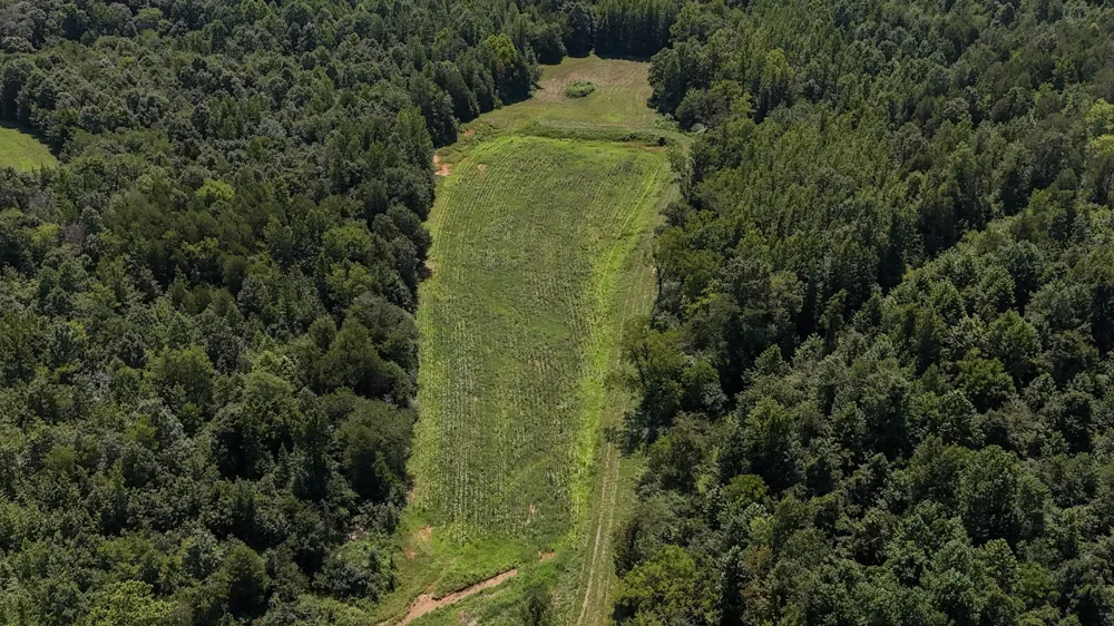 0 Hwy 69S Paris, TN 38242